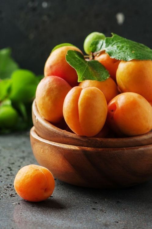 مدل رنگ روغن اورژینال